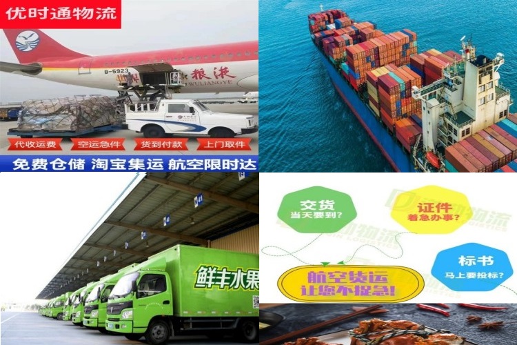 樟树到加拿大航空货运公司-樟树到加拿大物流专线